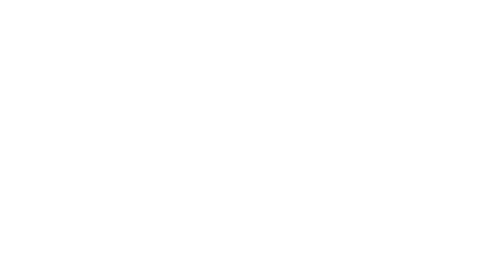 뇽쌤필름 NS Film 로고